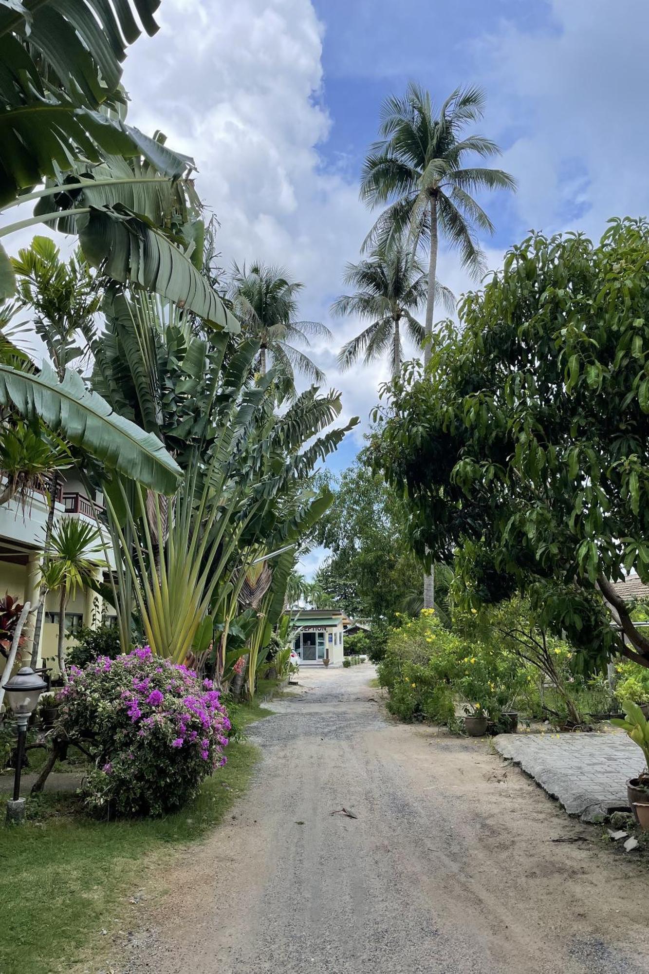 Sea Breeze Bungalow Lamai Beach  Buitenkant foto